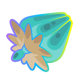 Hyper Roseli Berry &times; 10